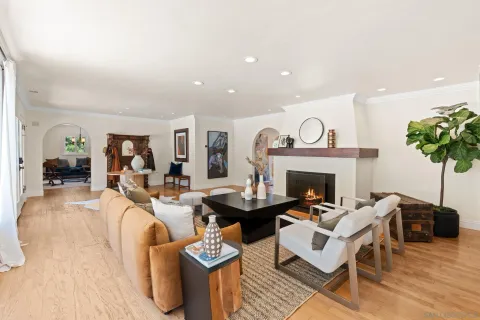 a living room with furniture a fireplace and a potted plant