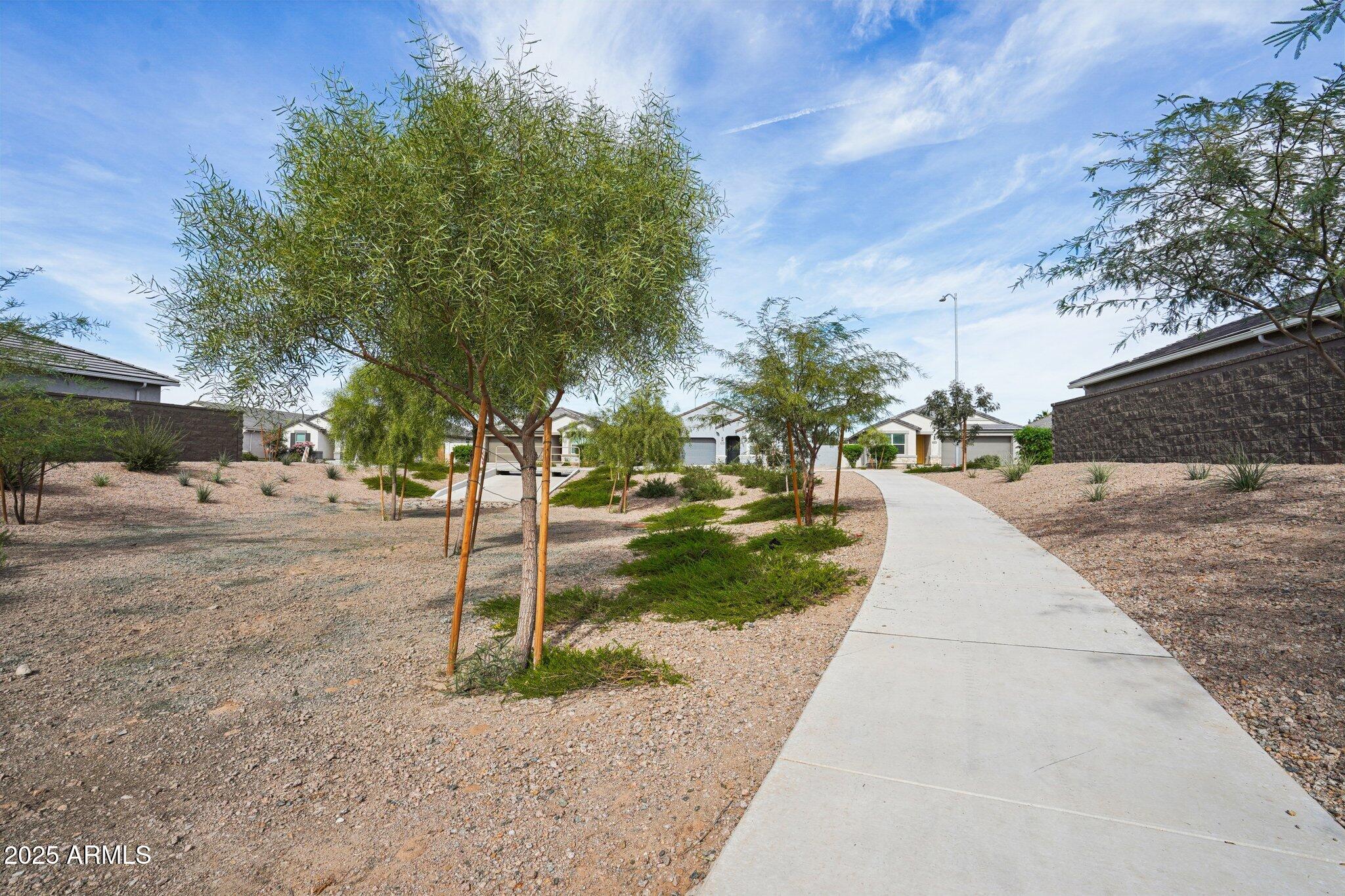 1566 East Yeoman Drive Casa Grande, AZ 85122 - Photo 26 of 28 a park view with large trees
