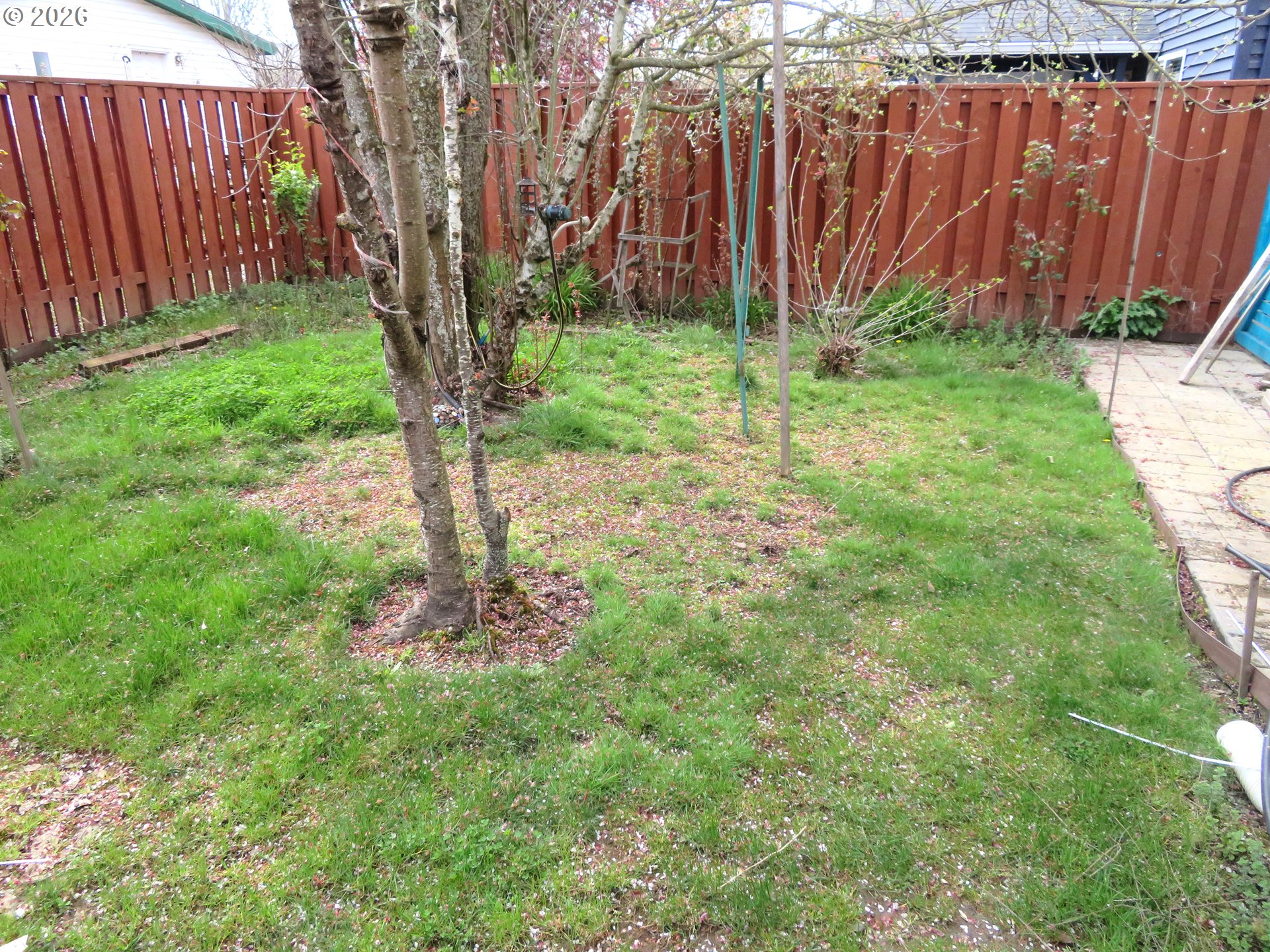 2485 North Holladay Street Cornelius, OR 97113 - Photo 25 of 26