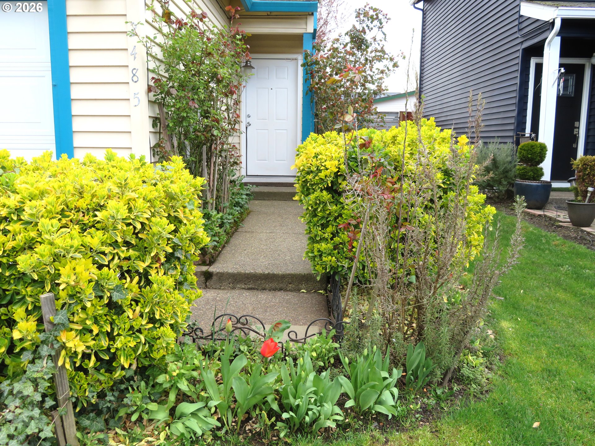 2485 North Holladay Street Cornelius, OR 97113 - Photo 4 of 26