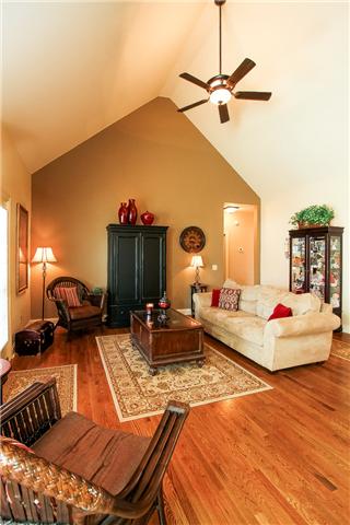 413 Sycamore Drive Springfield, TN 37172 - Photo 8 of 20 Cathedral Ceiling in Living Room!