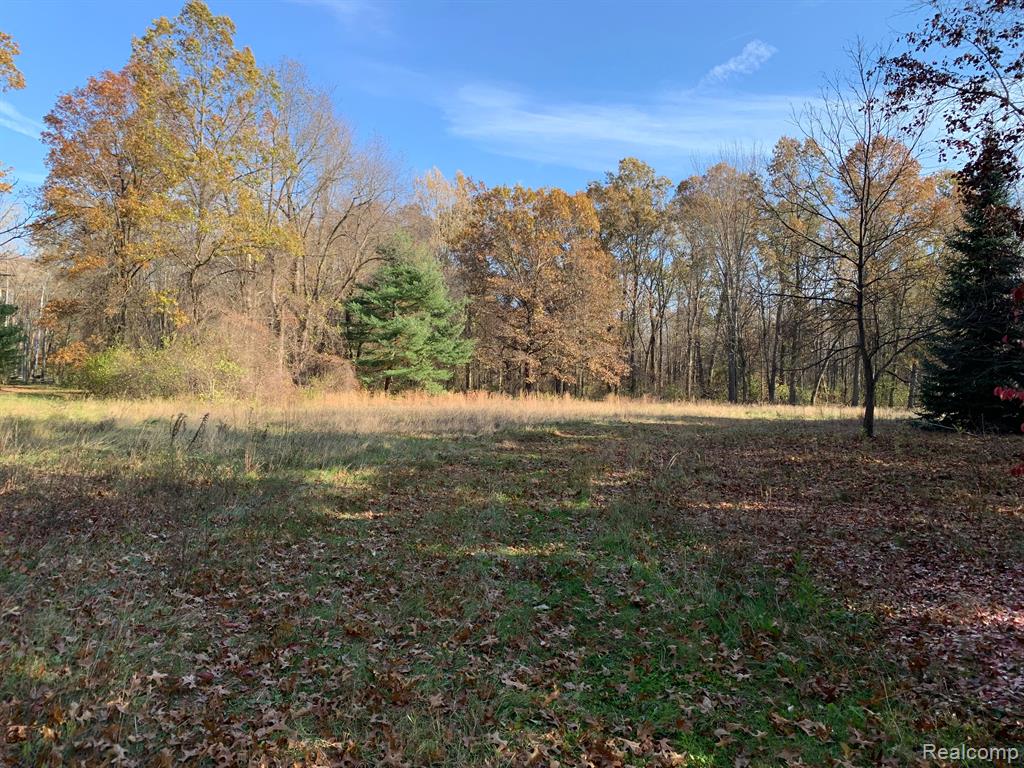 Vacant Merriman Road New Boston, MI 48164 - Photo 5 of 12