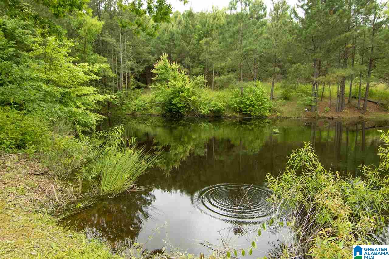 17226 Highway 46 Ranburne, AL 36273 - Photo 33 of 34