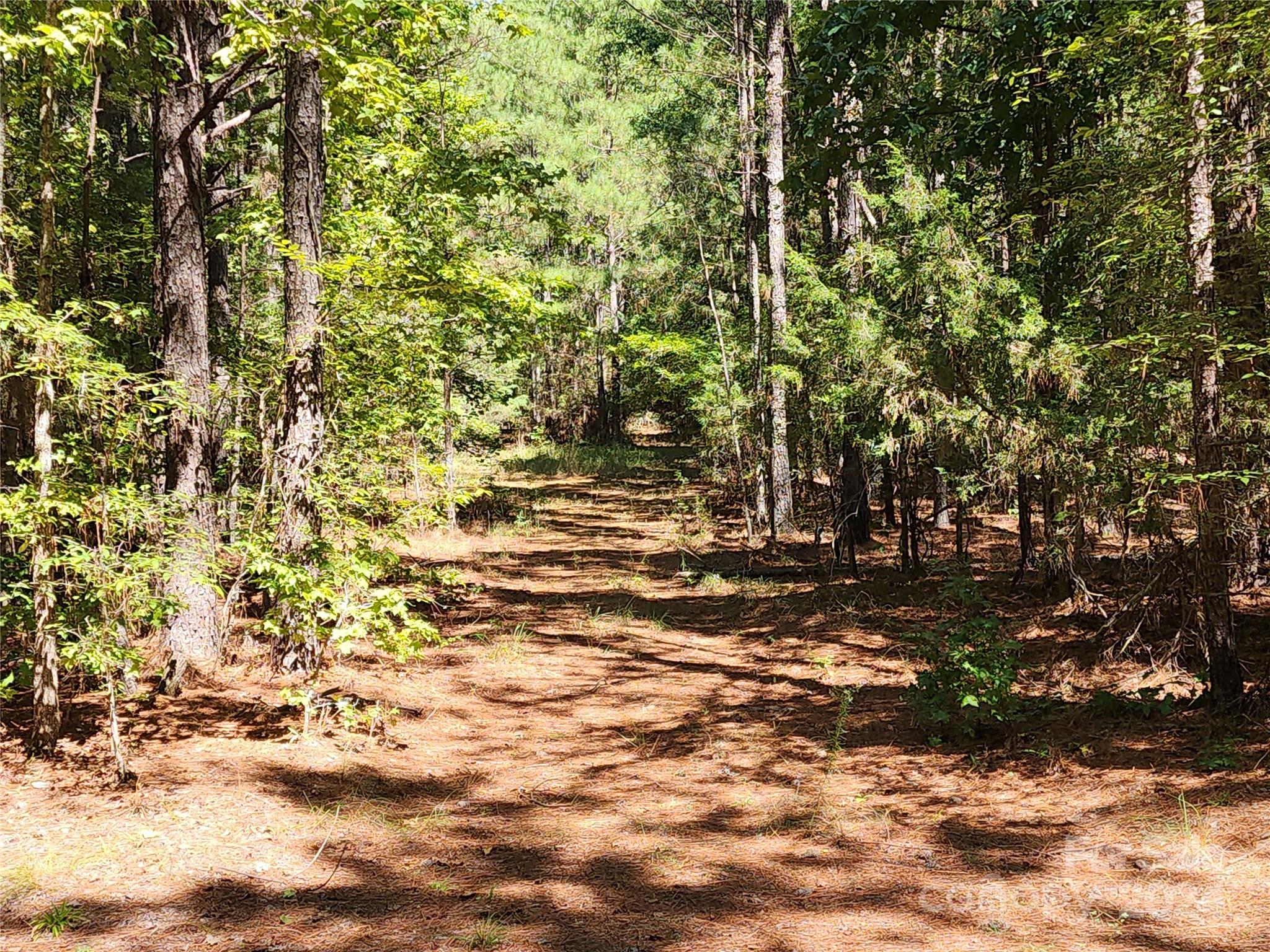 6500 William Martin Road Richburg, SC 29729 - Photo 11 of 41 Gallery Image 11