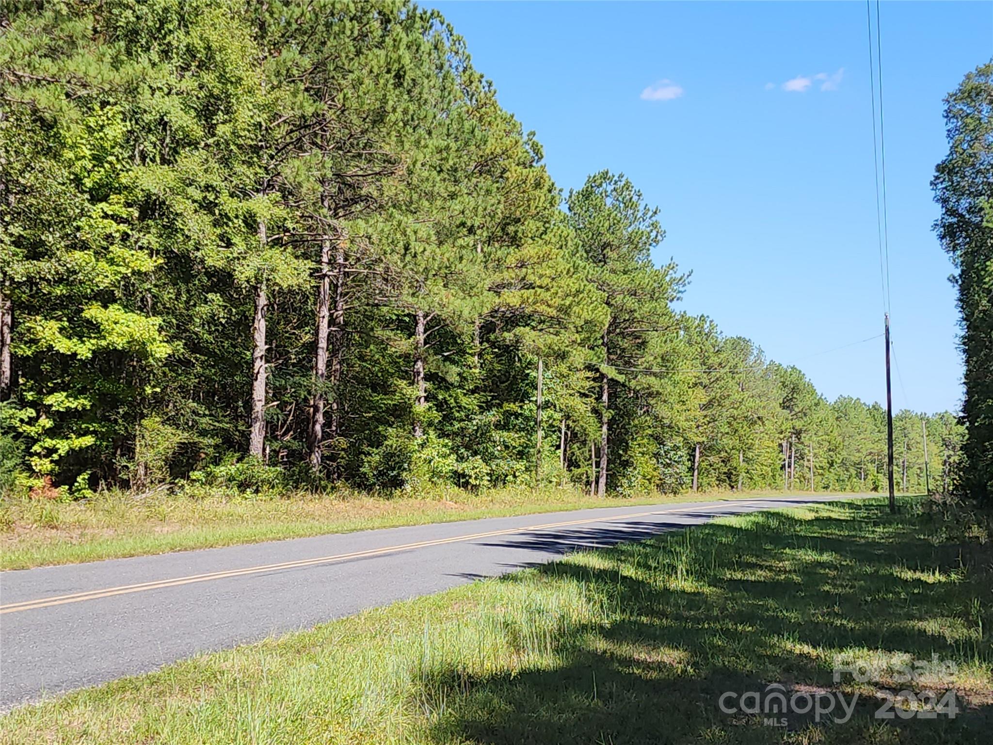6500 William Martin Road Richburg, SC 29729 - Photo 13 of 41 Gallery Image 13