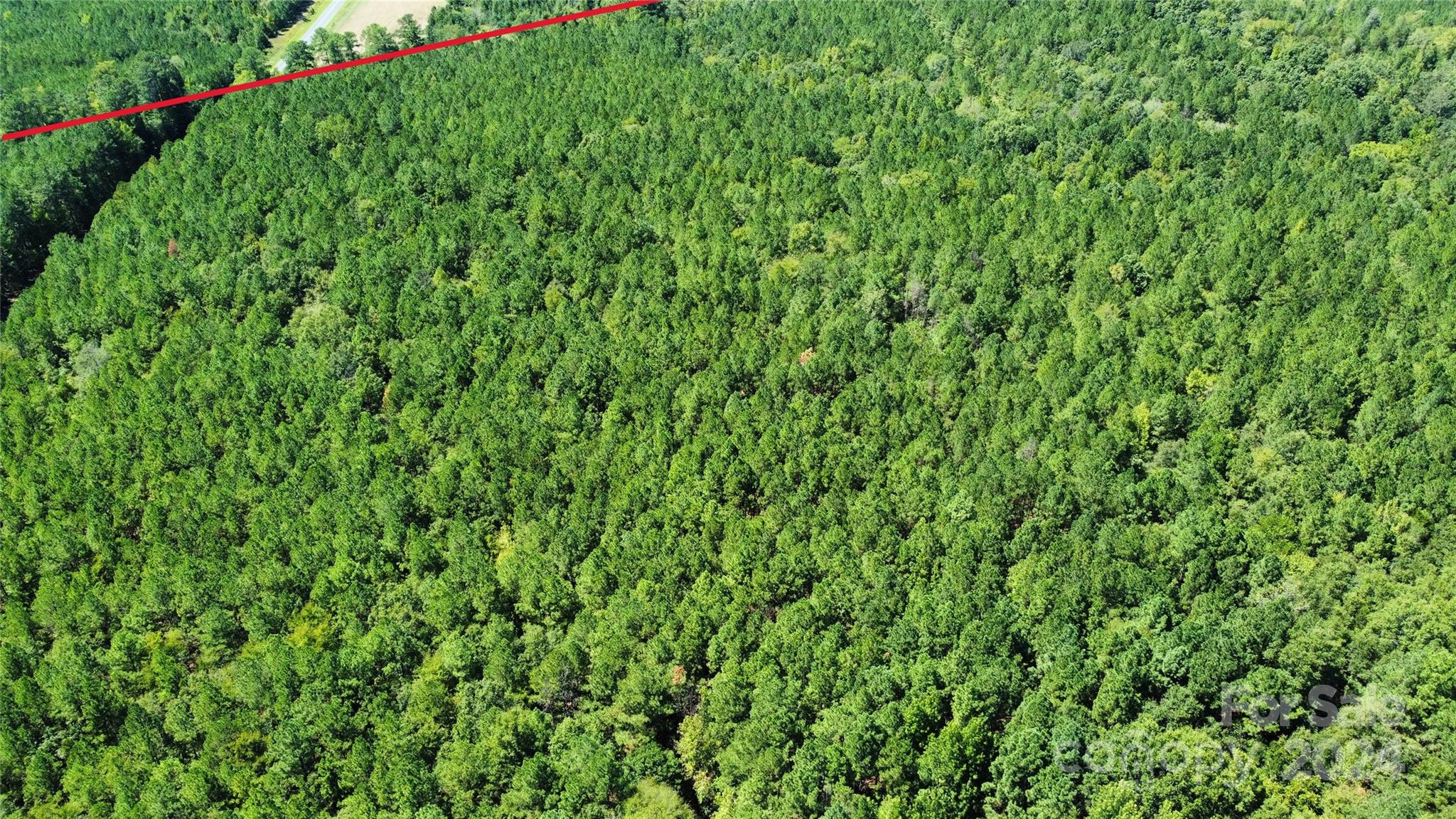 6500 William Martin Road Richburg, SC 29729 - Photo 17 of 41 Gallery Image 17