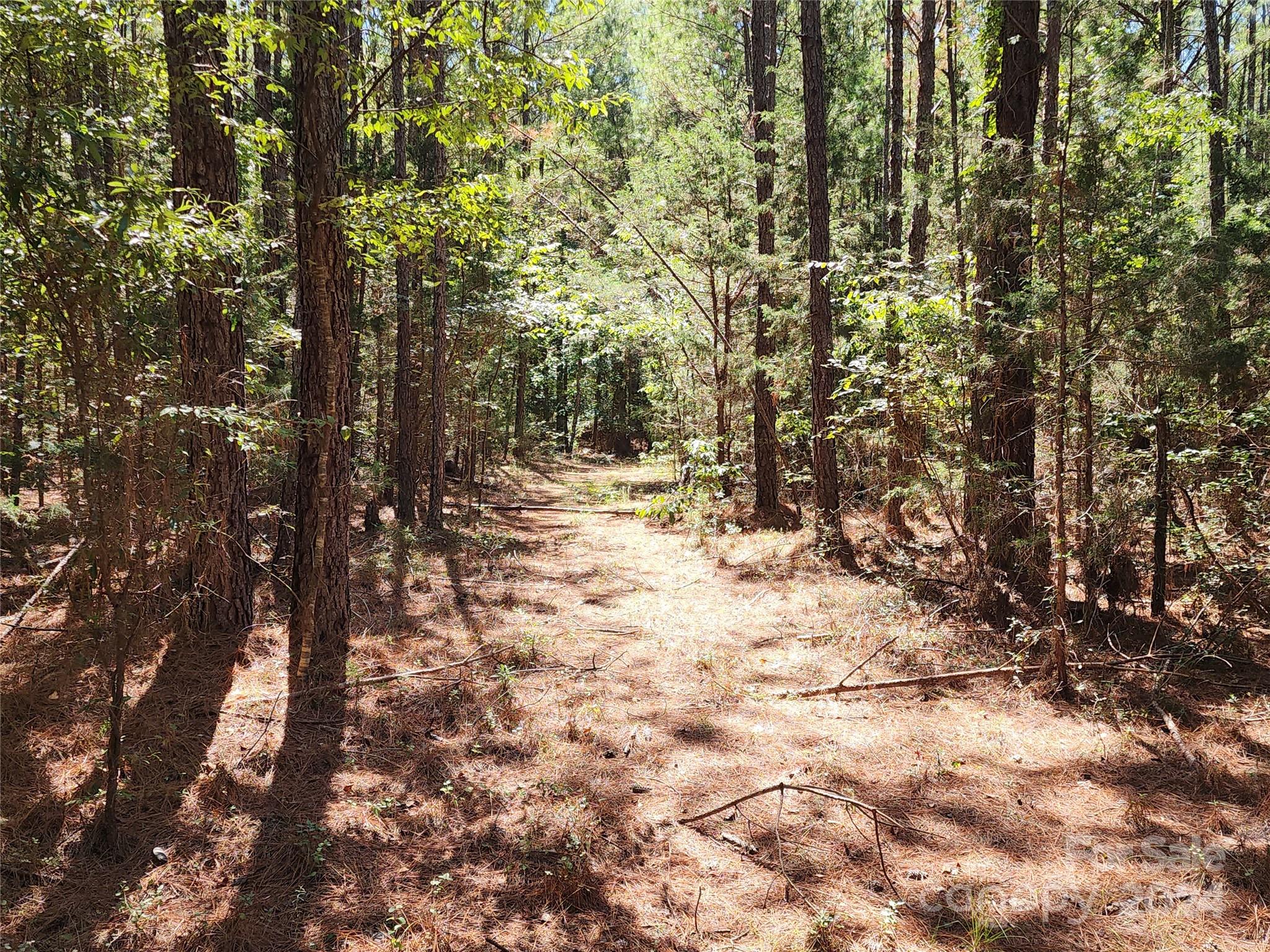 6500 William Martin Road Richburg, SC 29729 - Photo 22 of 41 Gallery Image 22