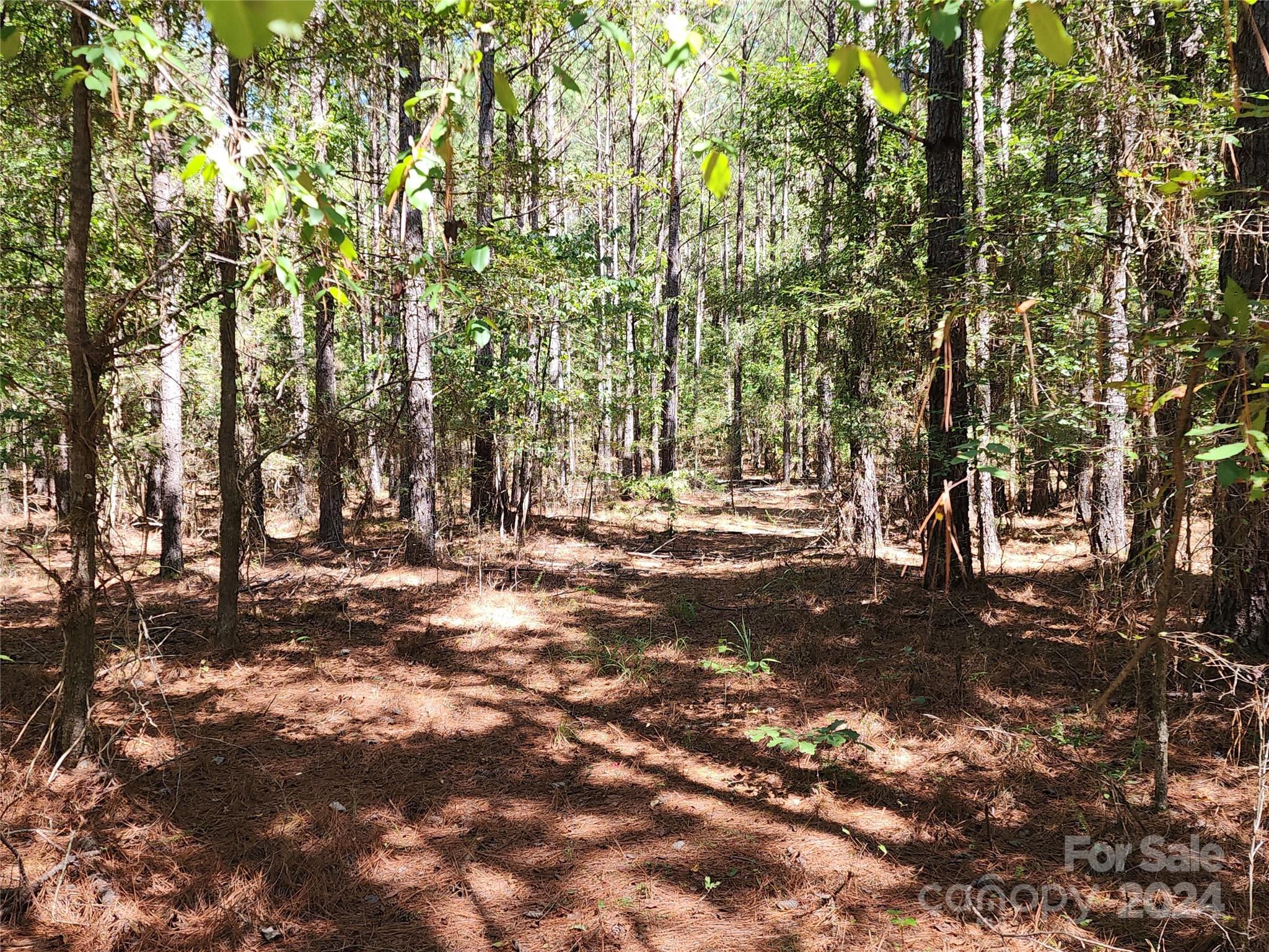 6500 William Martin Road Richburg, SC 29729 - Photo 23 of 41 Gallery Image 23