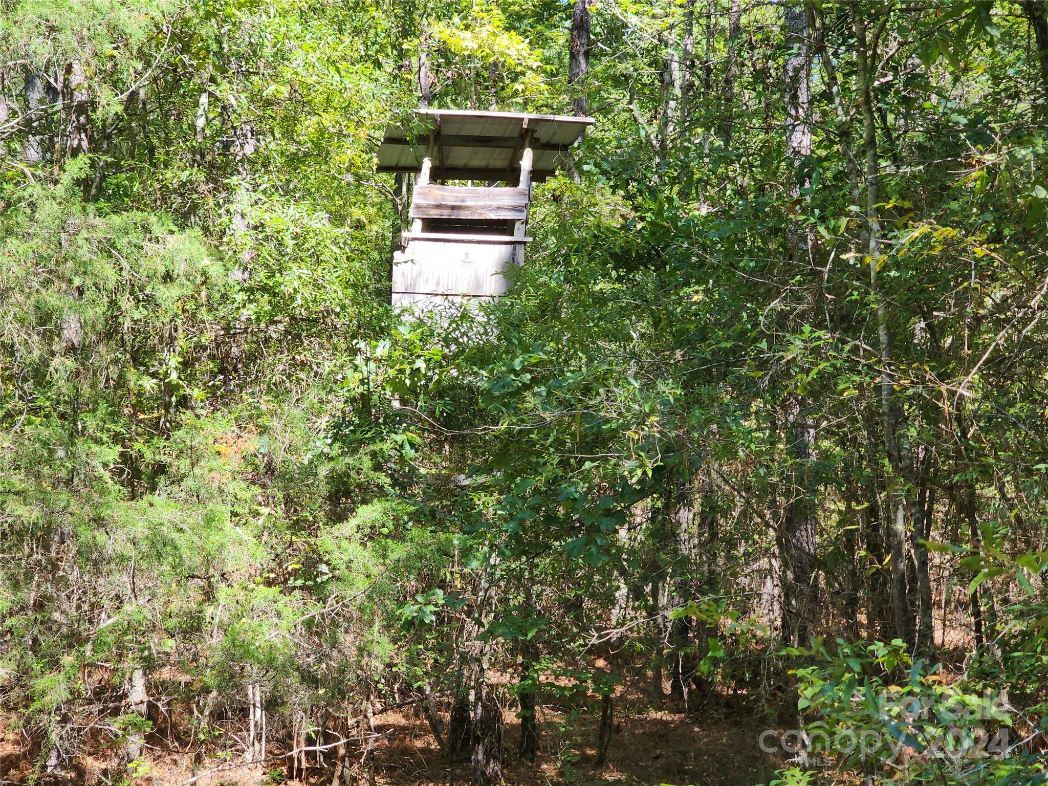 6500 William Martin Road Richburg, SC 29729 - Photo 25 of 41 Gallery Image 25