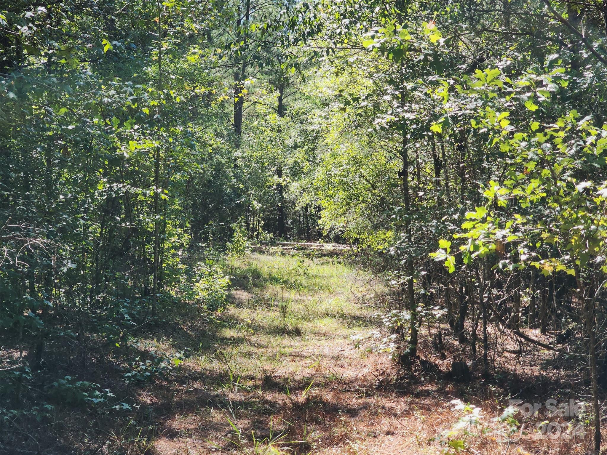 6500 William Martin Road Richburg, SC 29729 - Photo 26 of 41 Gallery Image 26