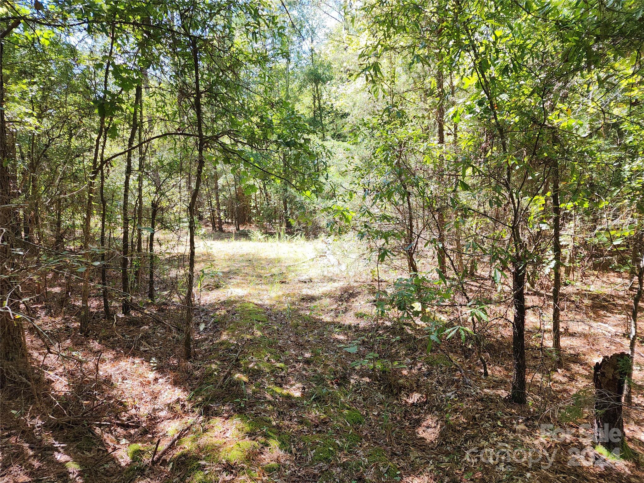 6500 William Martin Road Richburg, SC 29729 - Photo 27 of 41 Gallery Image 27