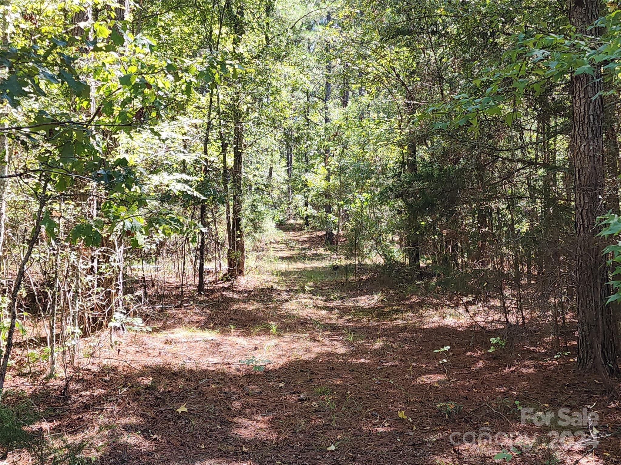 6500 William Martin Road Richburg, SC 29729 - Photo 28 of 41 Gallery Image 28