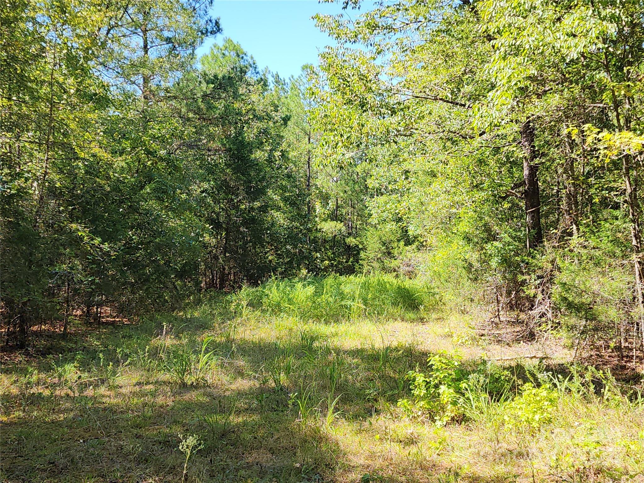 6500 William Martin Road Richburg, SC 29729 - Photo 29 of 41 Gallery Image 29