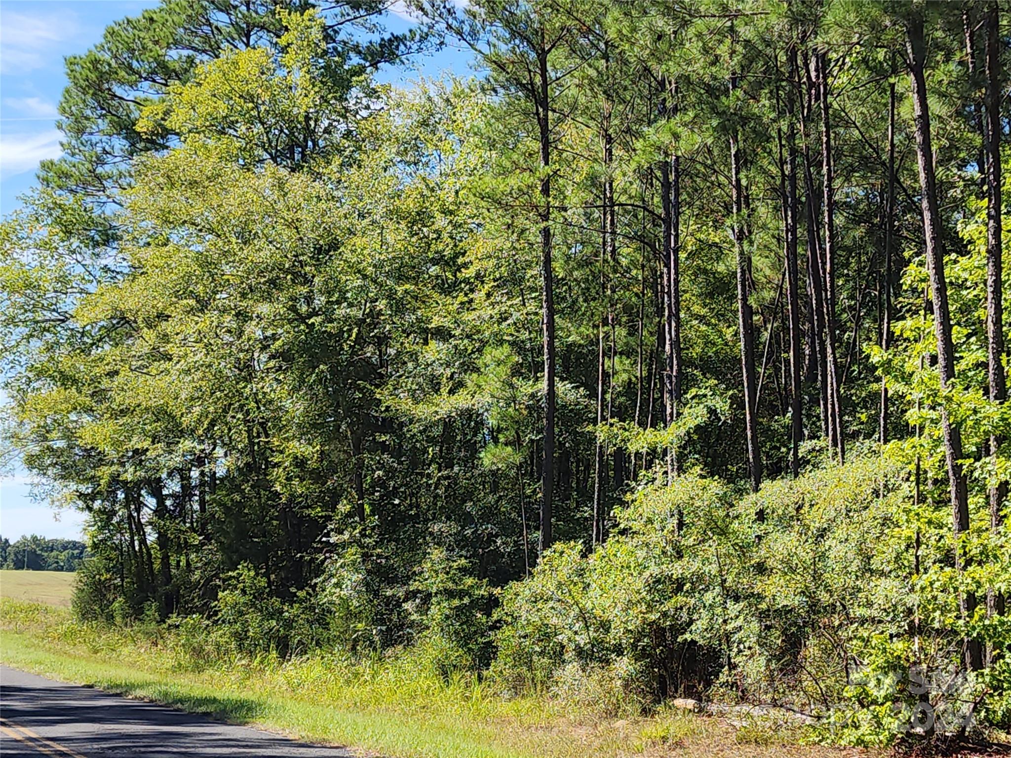 6500 William Martin Road Richburg, SC 29729 - Photo 32 of 41 Gallery Image 32