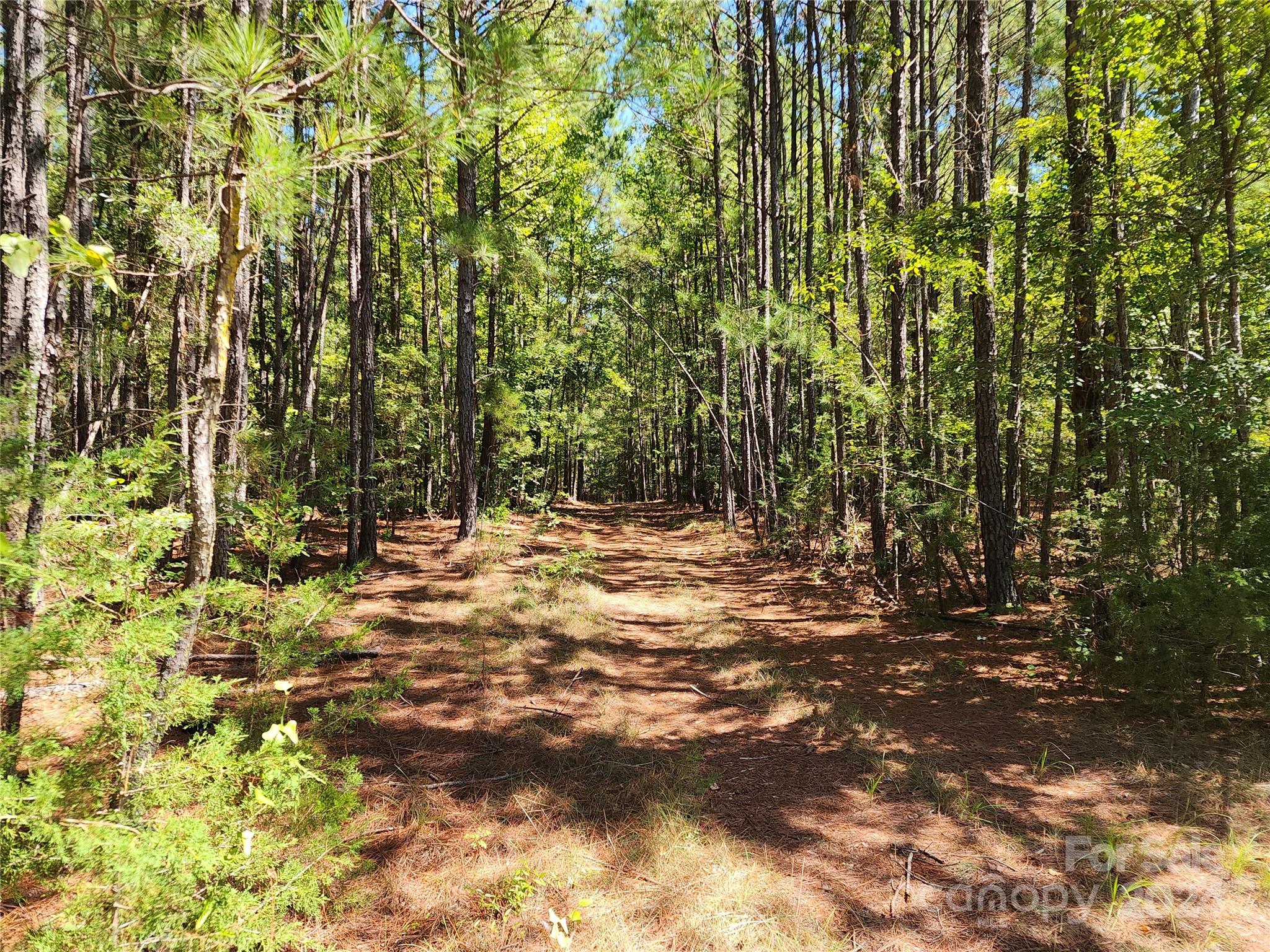 6500 William Martin Road Richburg, SC 29729 - Photo 35 of 41 Gallery Image 35