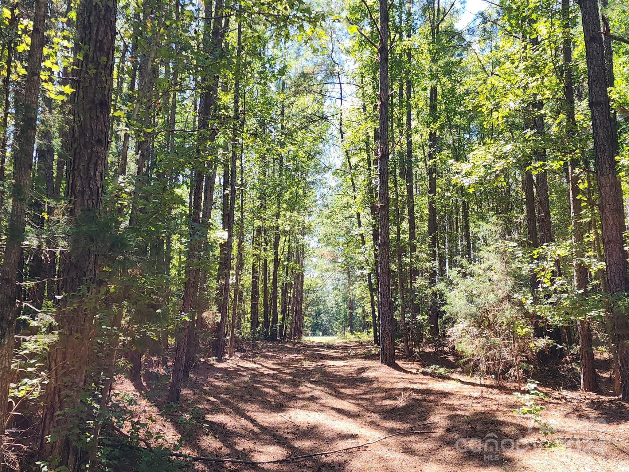 6500 William Martin Road Richburg, SC 29729 - Photo 10 of 41 Gallery Image 10