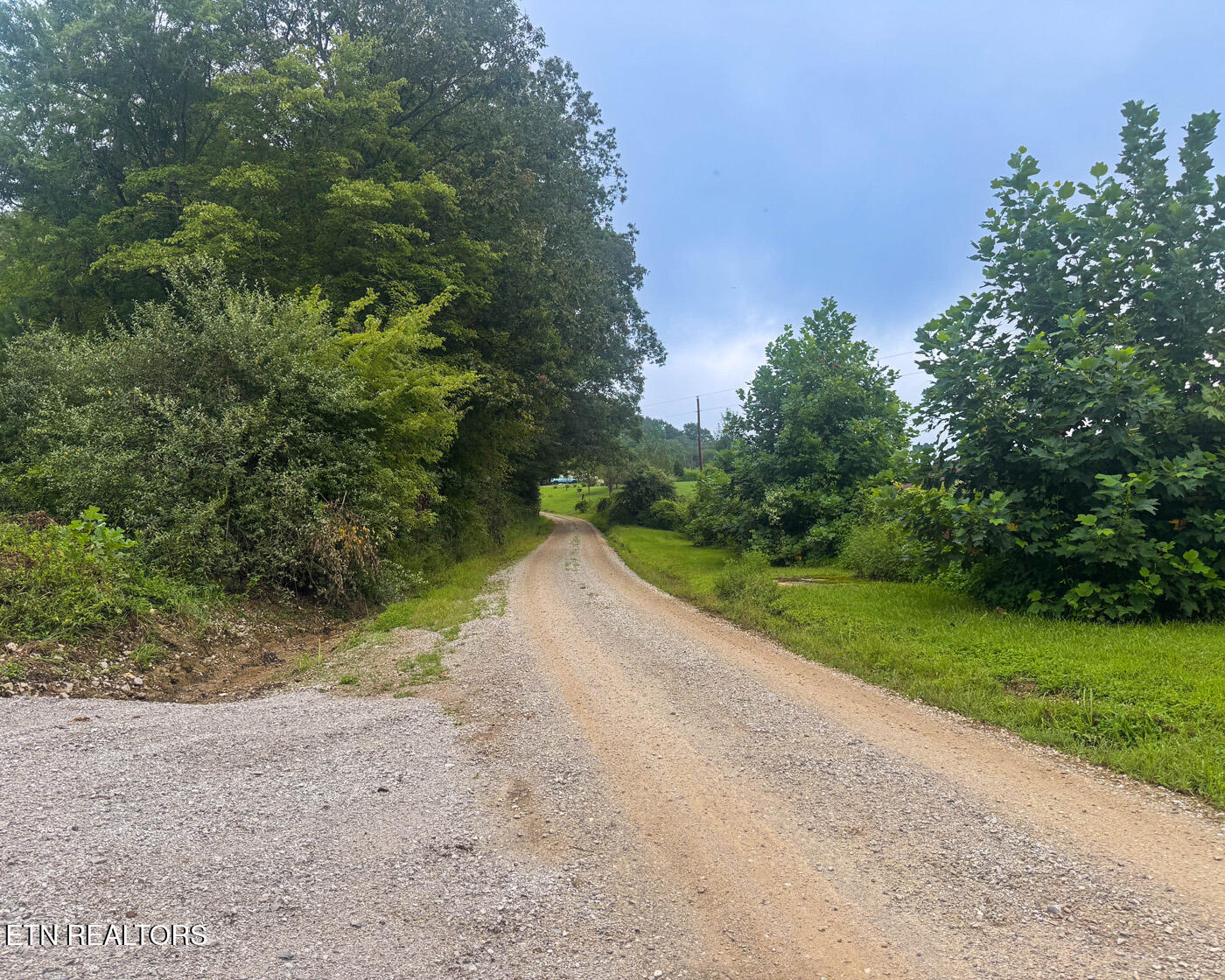 Sheep Ranch Road Robbins, TN 37852 - Photo 11 of 22 IMG_2898 copy