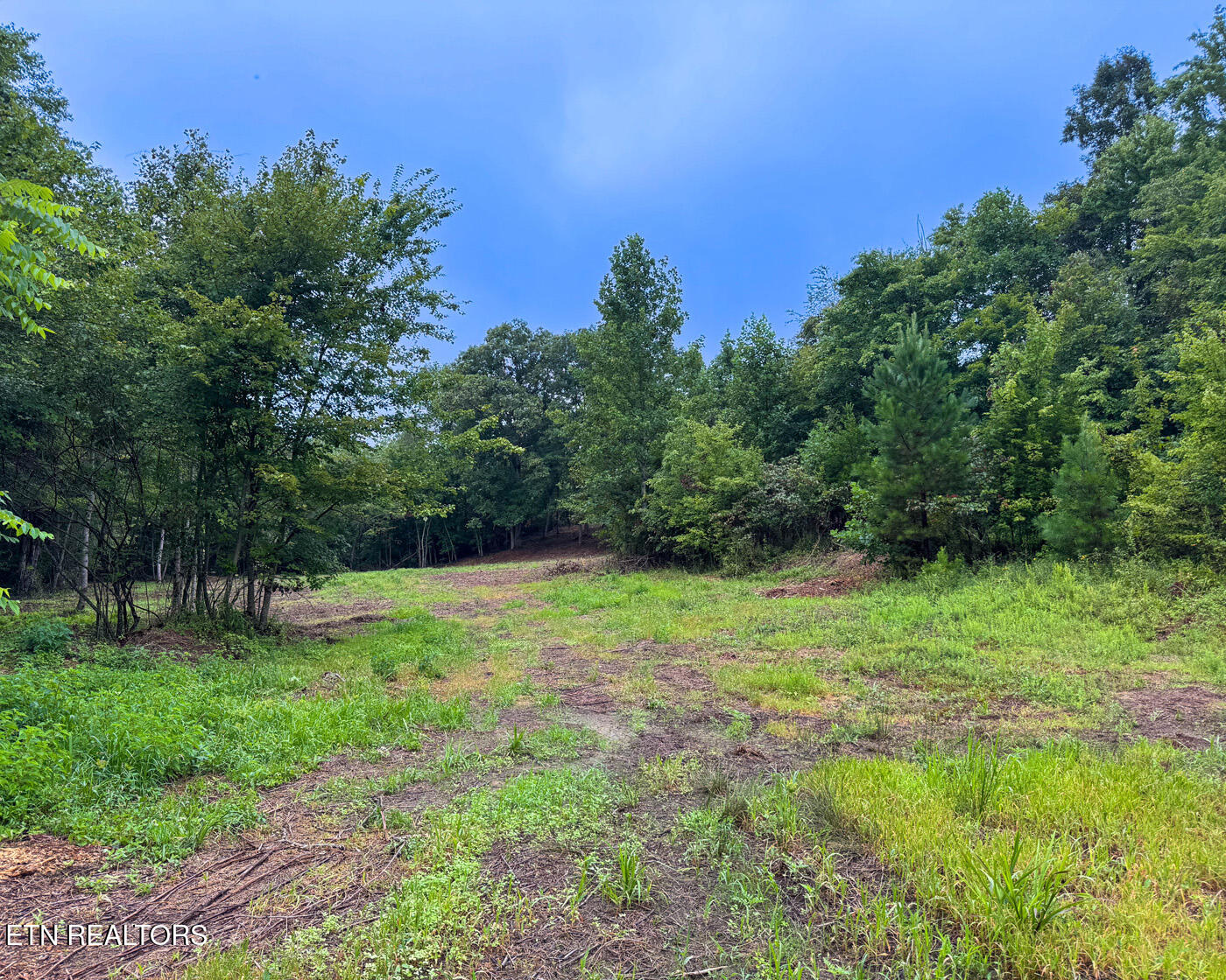 Sheep Ranch Road Robbins, TN 37852 - Photo 12 of 22 IMG_2899 copy