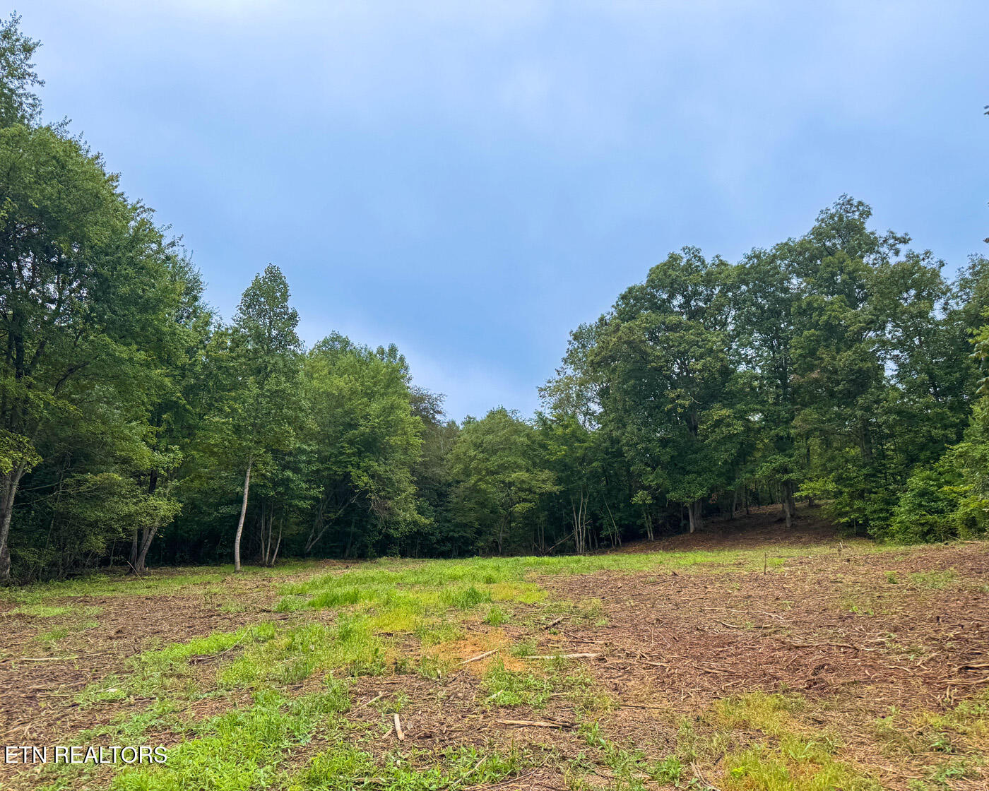Sheep Ranch Road Robbins, TN 37852 - Photo 14 of 22 IMG_2901 copy