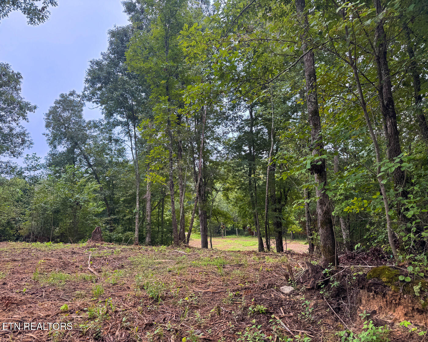 Sheep Ranch Road Robbins, TN 37852 - Photo 15 of 22 IMG_2904 copy
