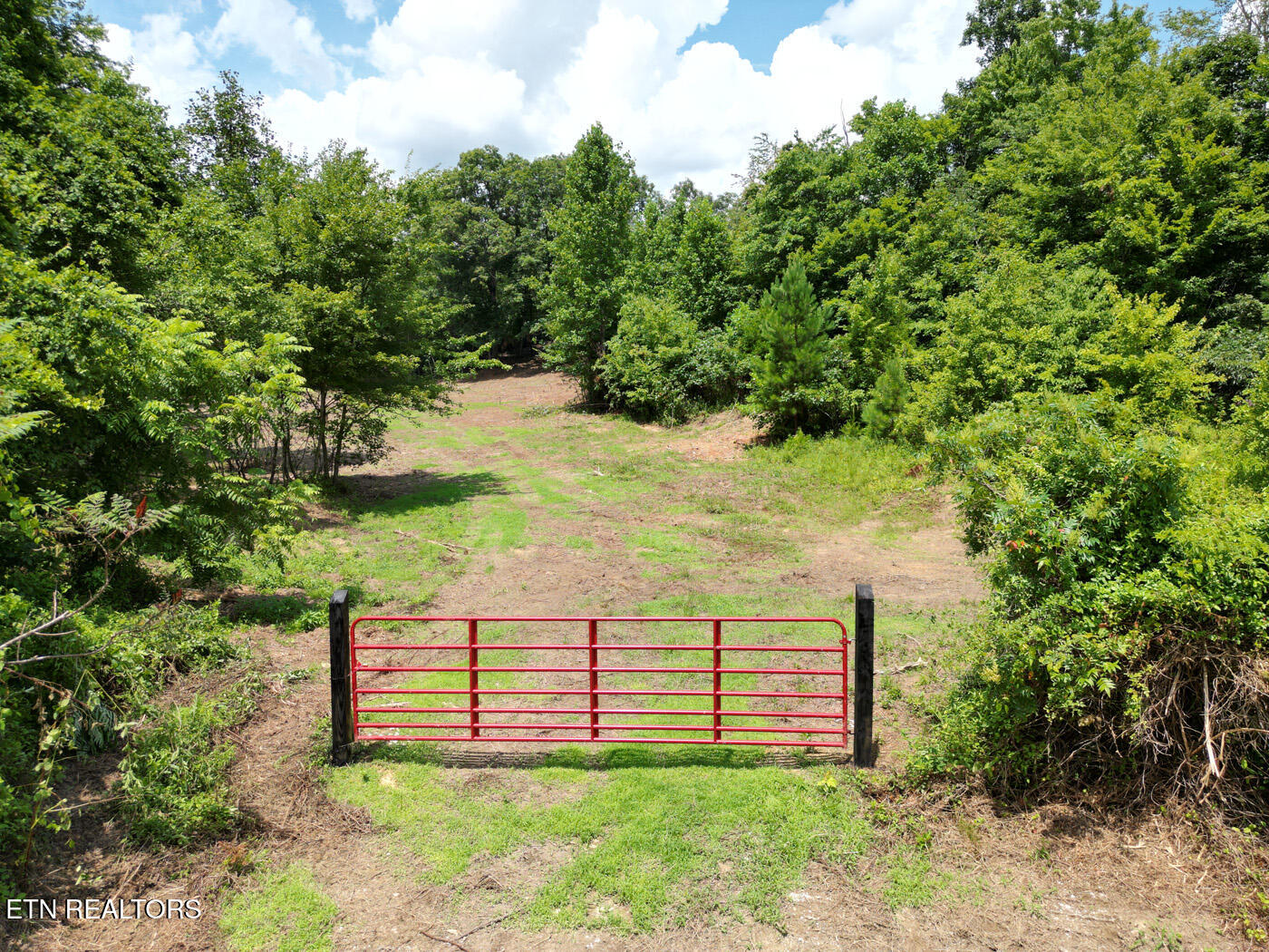 Sheep Ranch Road Robbins, TN 37852 - Photo 2 of 22 DJI_0360 copy