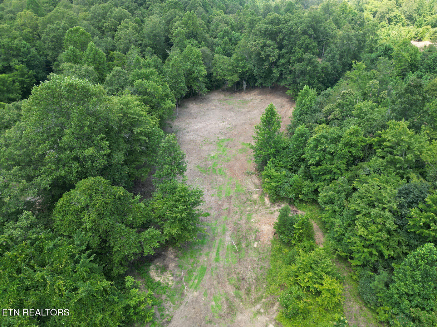 Sheep Ranch Road Robbins, TN 37852 - Photo 3 of 22 DJI_0356 copy