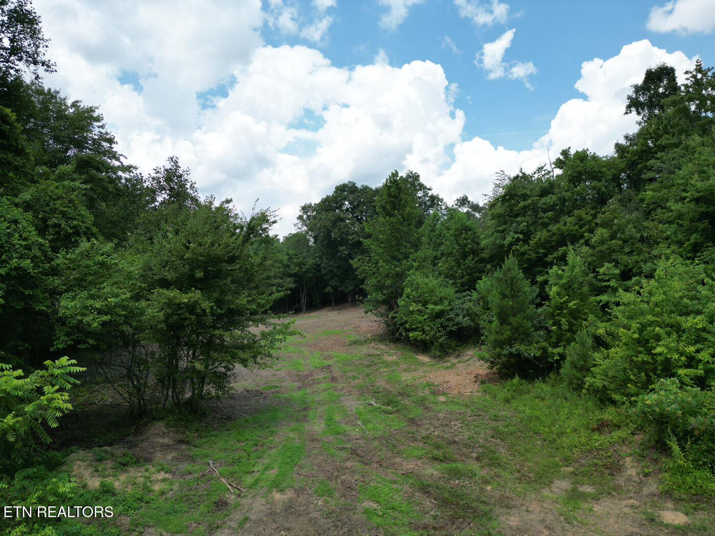 Sheep Ranch Road Robbins, TN 37852 - Photo 4 of 22 DJI_0355 copy