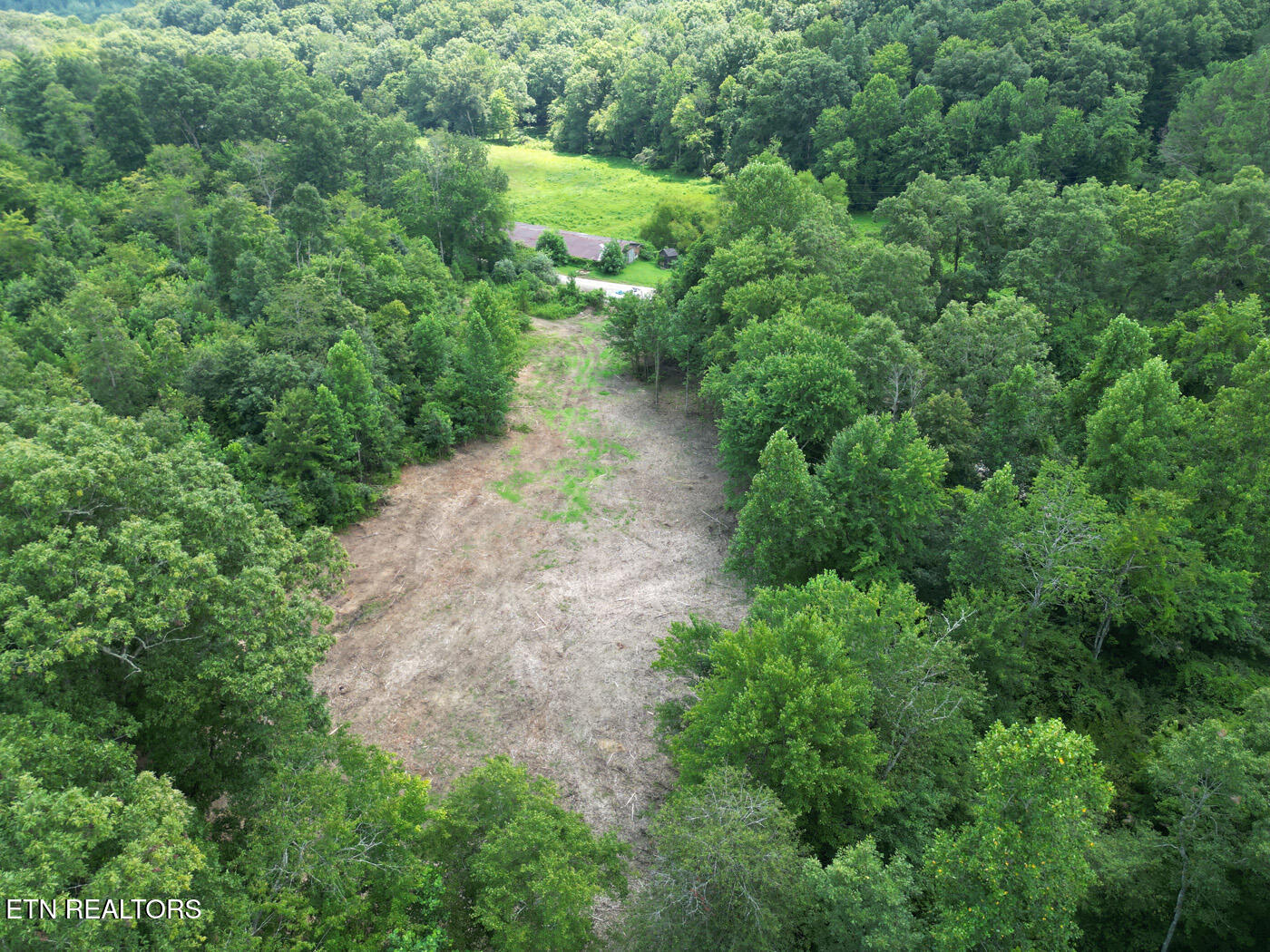 Sheep Ranch Road Robbins, TN 37852 - Photo 5 of 22 DJI_0357 copy