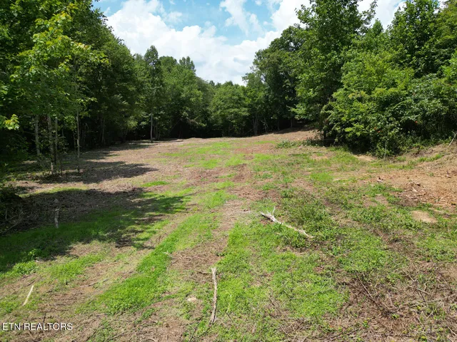 $169,900 | Sheep Ranch Road, Robbins, TN 37852