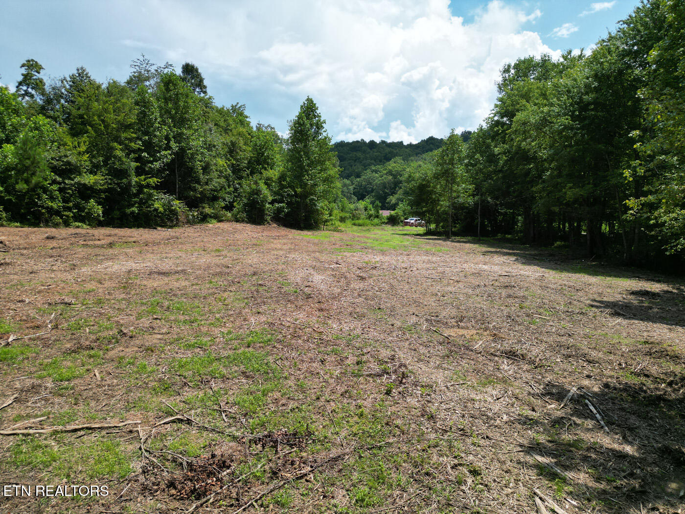 Sheep Ranch Road Robbins, TN 37852 - Photo 9 of 22 DJI_0364 copy