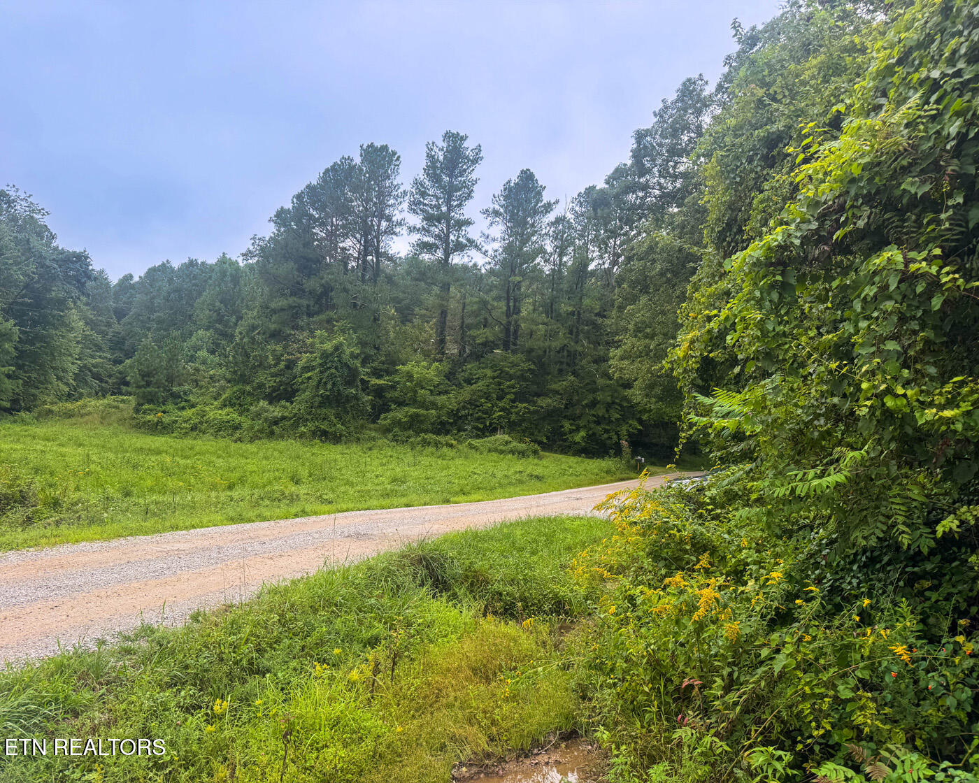 Sheep Ranch Road Robbins, TN 37852 - Photo 10 of 22 IMG_2897 copy