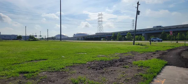 a view of a park with a large tree