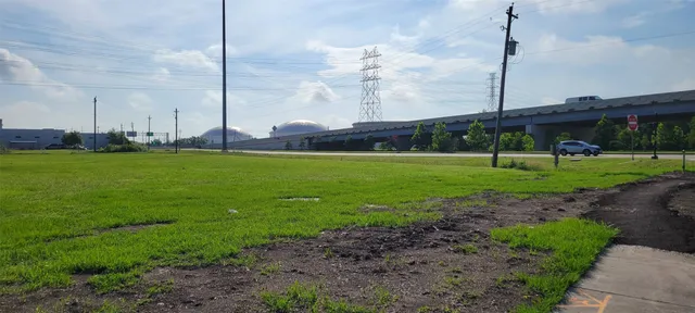 a view of a park with a large tree