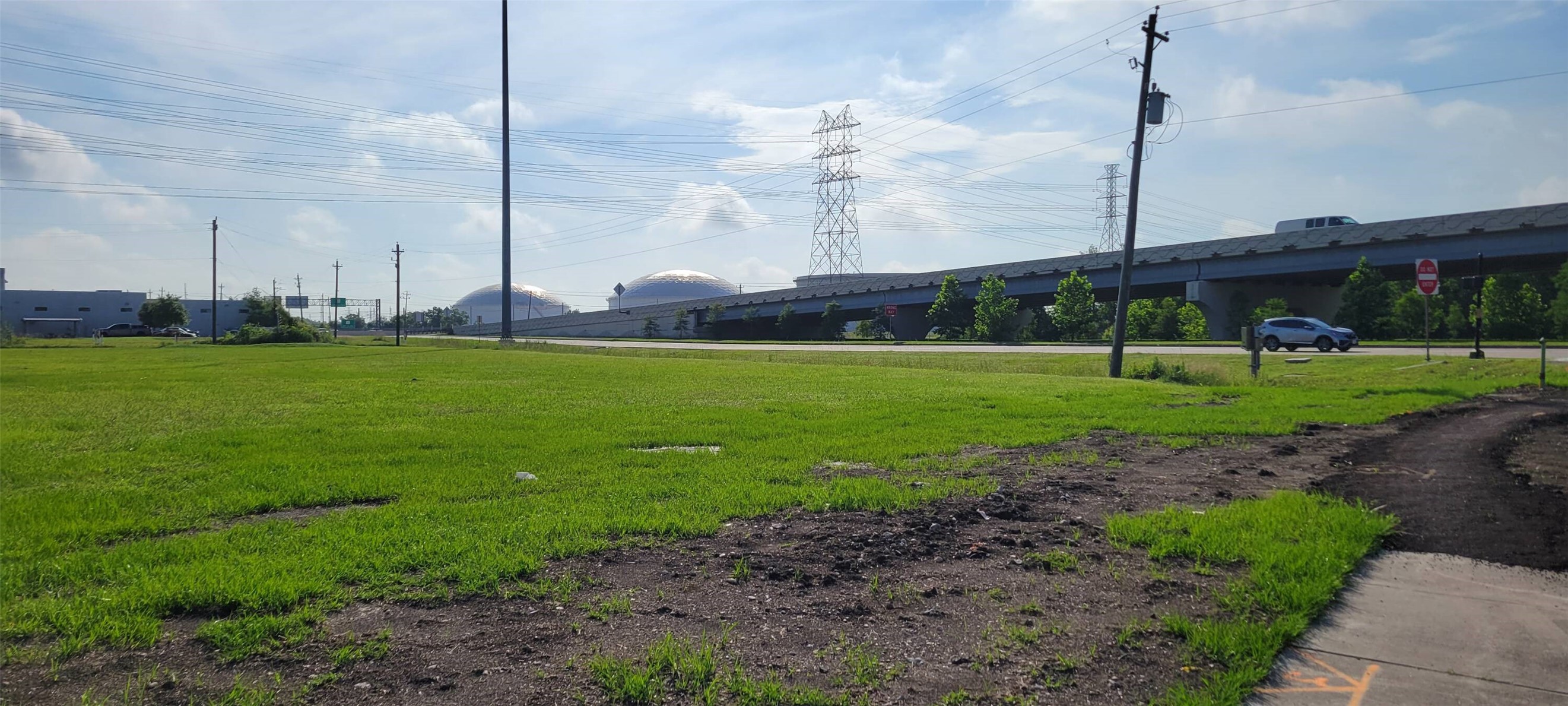 a view of a park with a large tree