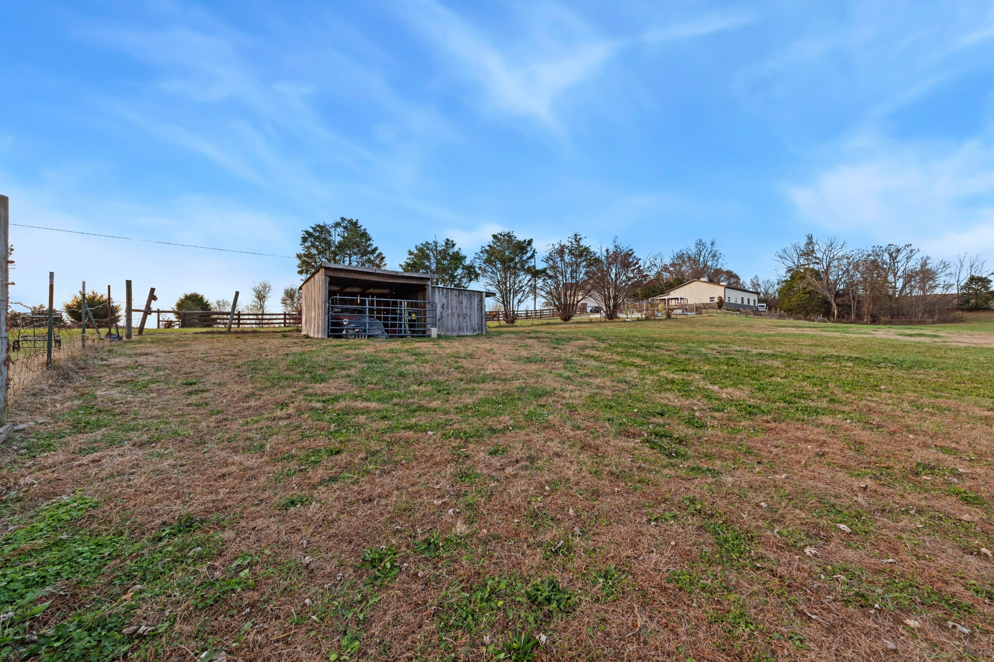 699 Puckett Road Watertown, TN 37184 - Photo 43 of 53 a view of a big yard with large trees