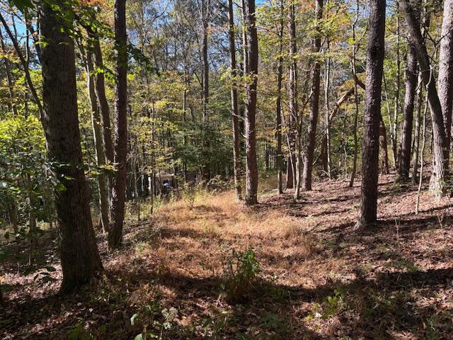 9847 Stage Road Logan, OH 43138 - Photo 5 of 10 IMG_3145
