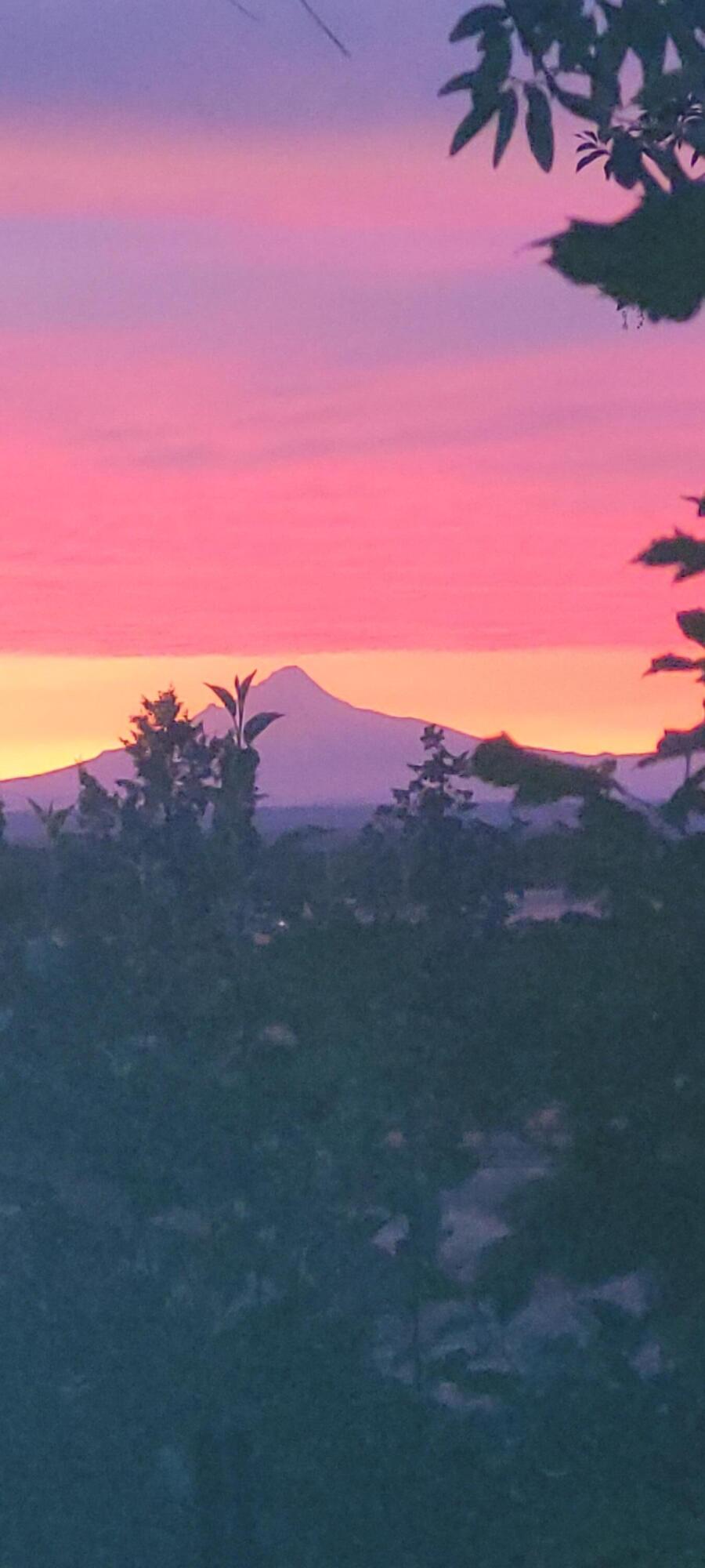 10220 Southwest Ruth Drive Culver, OR 97734 - Photo 28 of 28 Mt. Hood from back porch