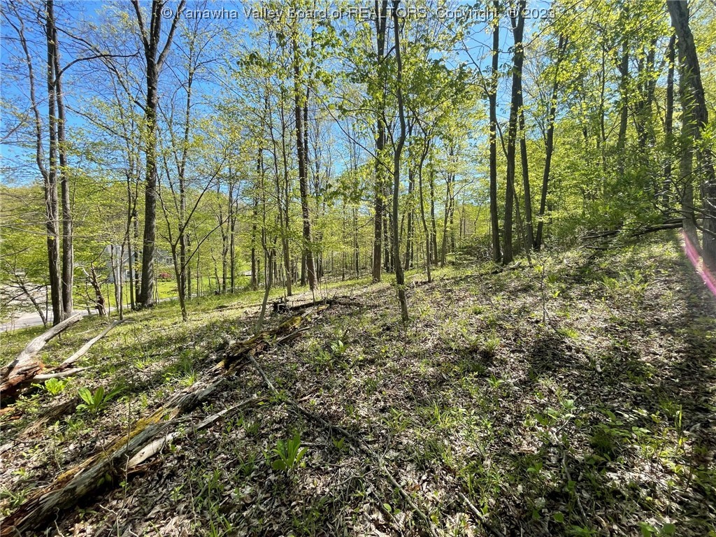 9619 Charleston Road Ripley, WV 25271 - Photo 38 of 44 Gallery Image 38