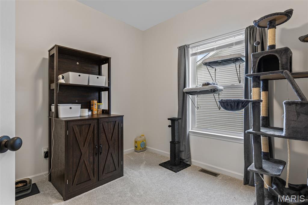 Undisclosed Address Pevely, MO 63070 - Photo 25 of 34