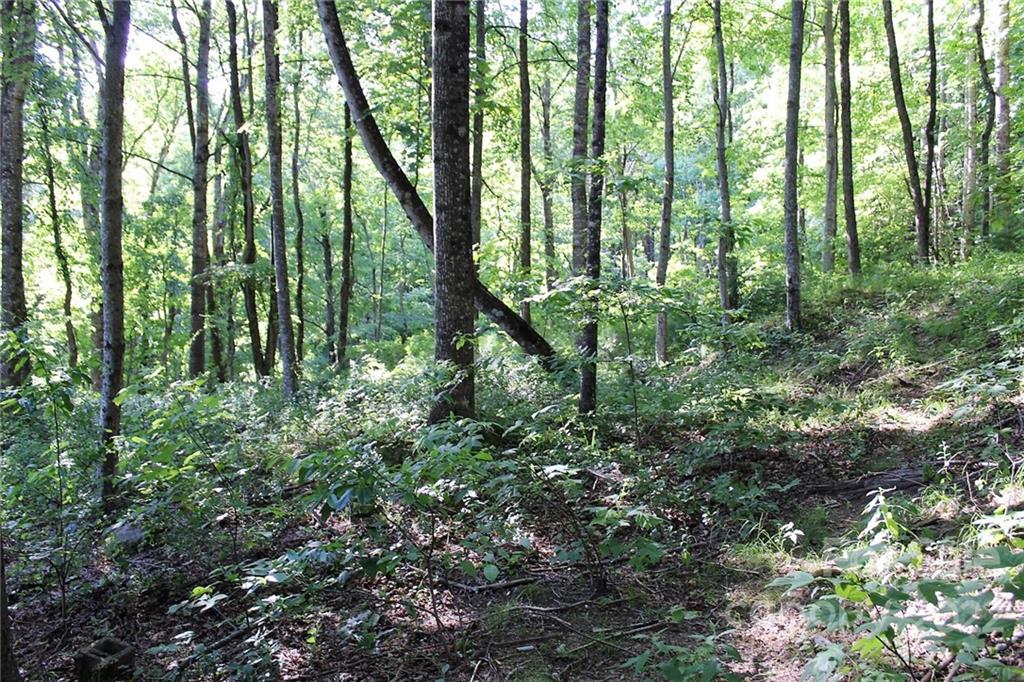 5618 Pitts Road Collettsville, NC 28611 - Photo 8 of 9 Gallery Image 8