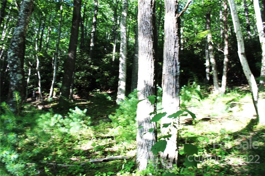 5618 Pitts Road Collettsville, NC 28611 - Photo 9 of 9 Gallery Image 9