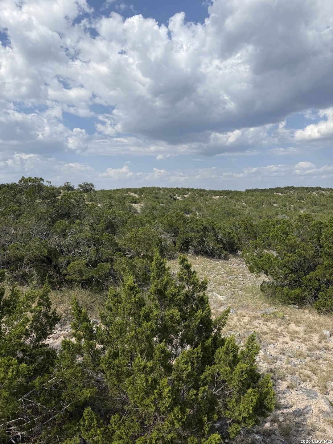 58500 SD 58500 Rocksprings, TX 78880 - Photo 23 of 33 Gallery Image 23