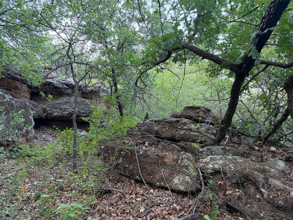 150 Timberidge Lake Road Graham, TX 76450 - Photo 22 of 25 a backyard of a house with lots of green space
