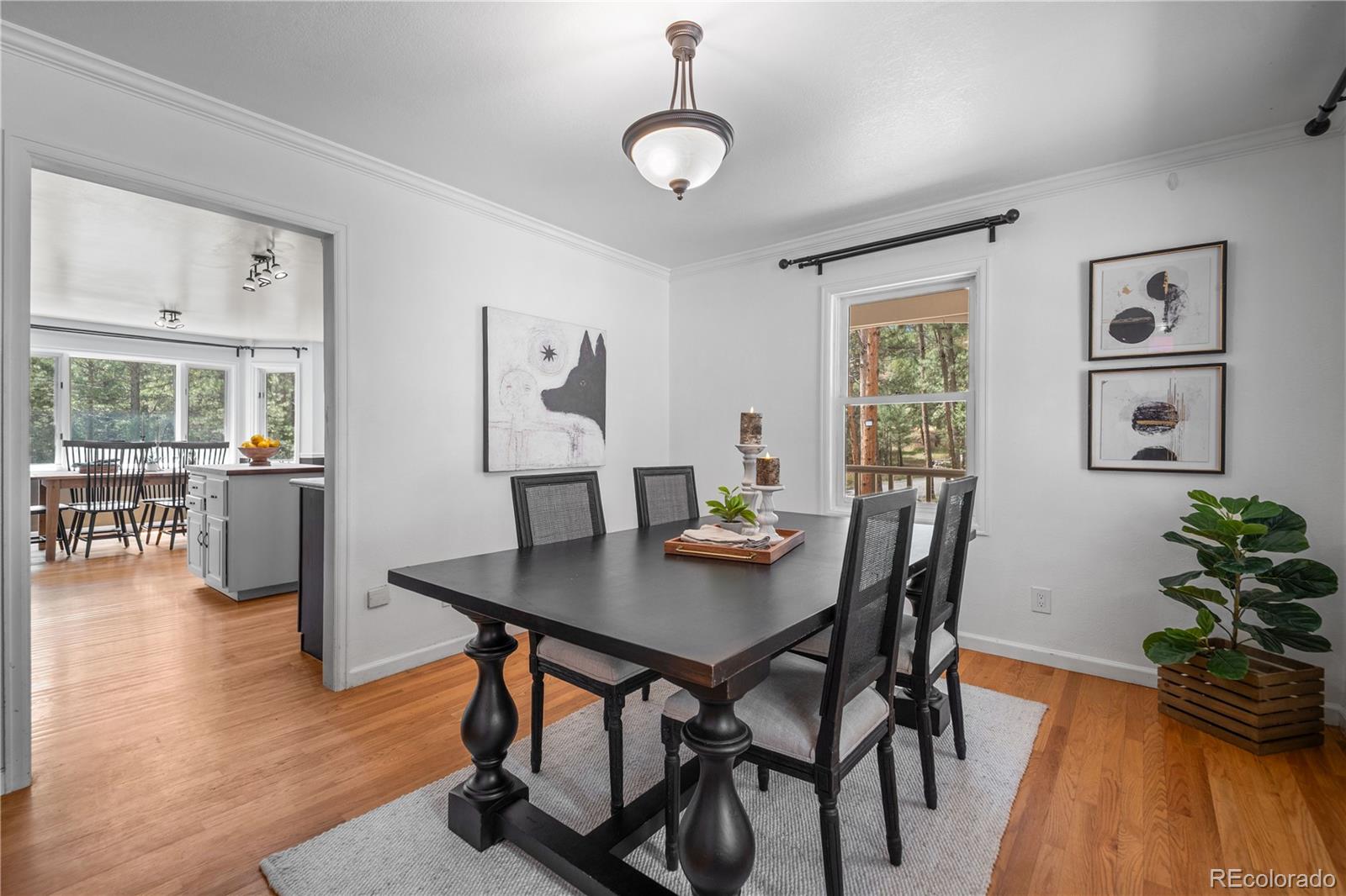 50 Victoria Road Pine, CO 80470 - Photo 8 of 33 Gallery Image 8