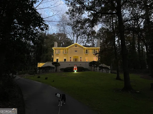 a view of a forest with trees