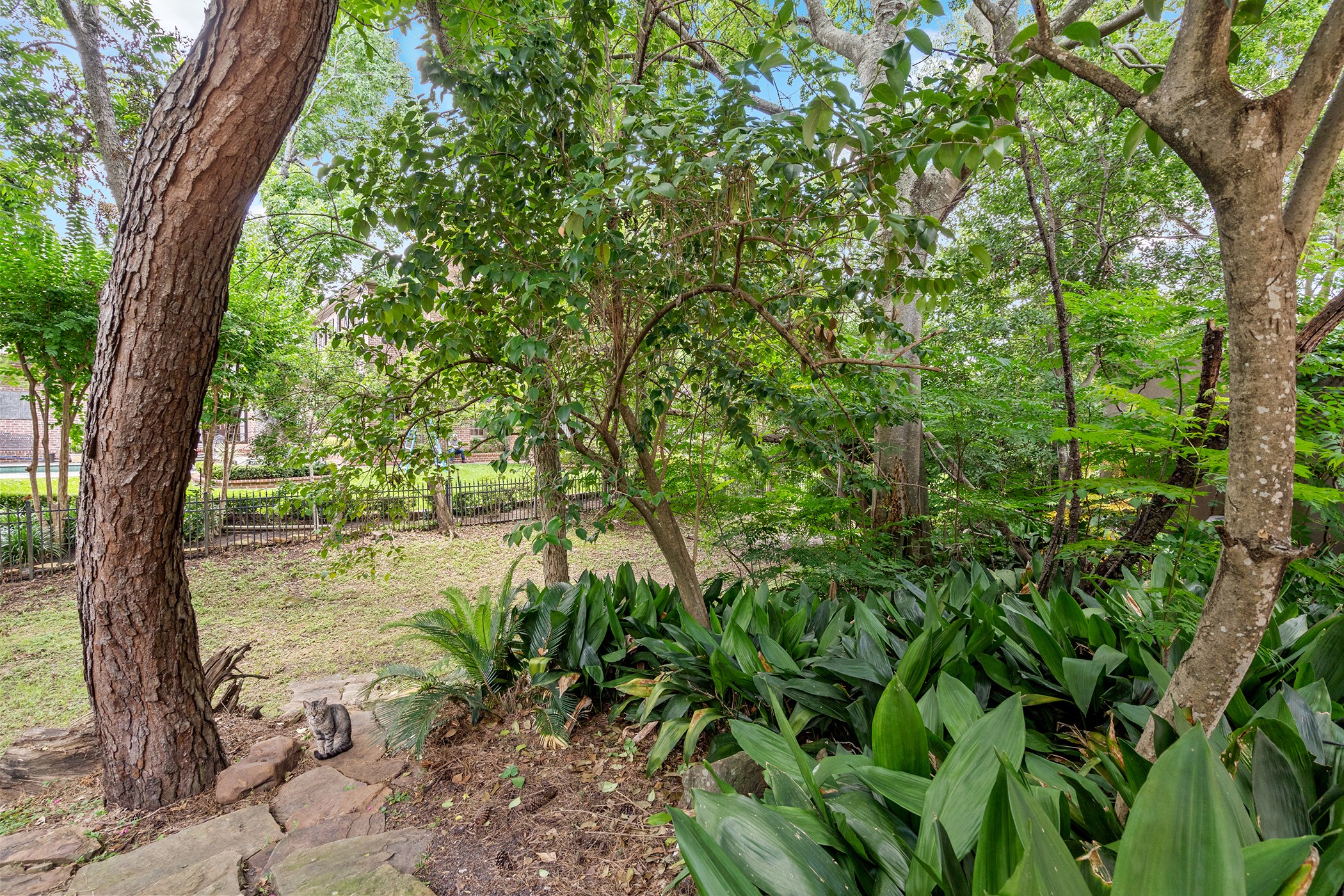 903 Rocky River Road Houston, TX 77056 - Photo 39 of 45 a view of a garden with a tree