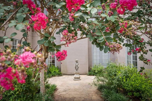 a small garden covered with flower flowers