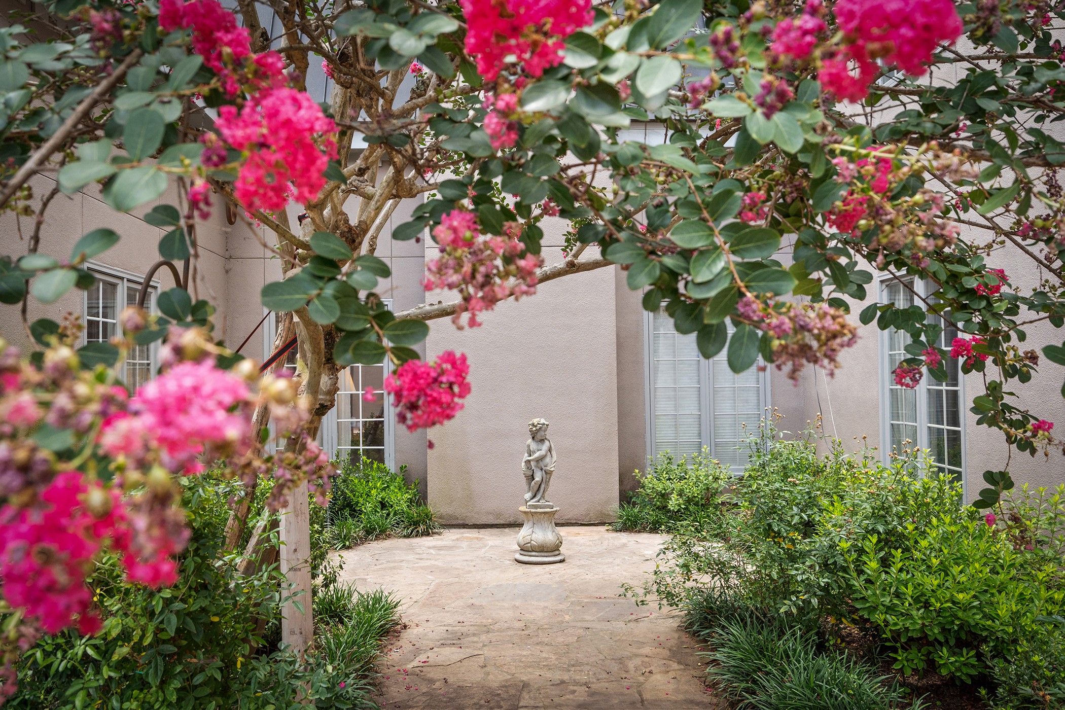 903 Rocky River Road Houston, TX 77056 - Photo 41 of 45 a small garden covered with flower flowers