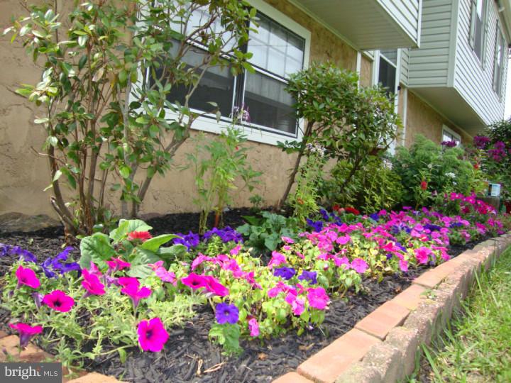605 Jackson Road Atco, NJ 08004 - Photo 5 of 24 Front Yard