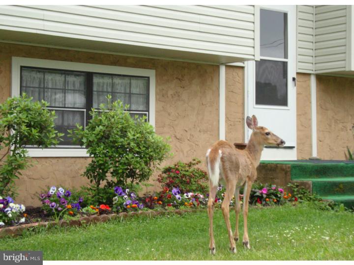 605 Jackson Road Atco, NJ 08004 - Photo 6 of 24 View from Front Door